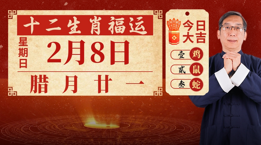 2月8日生肖运势
