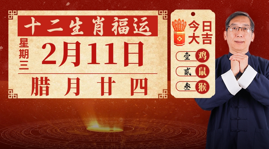 2月11日生肖运势